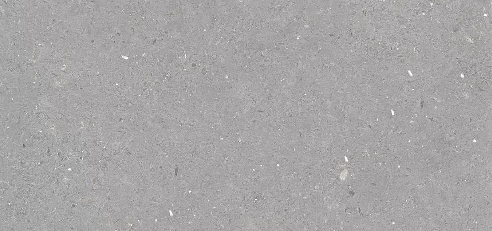 Плитка Simpolo Fossil Stx Grey 59.8x119.8 см, поверхность матовая