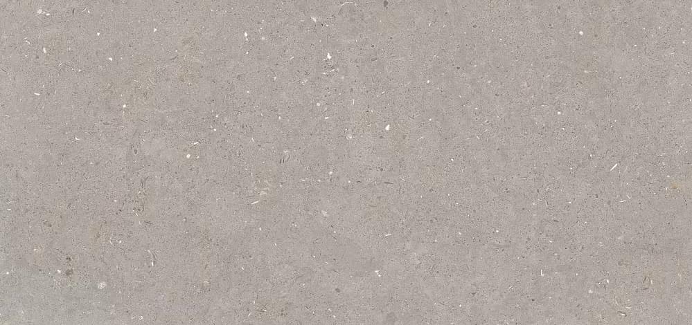 Плитка Simpolo Fossil Stx Mud 59.8x119.8 см, поверхность матовая