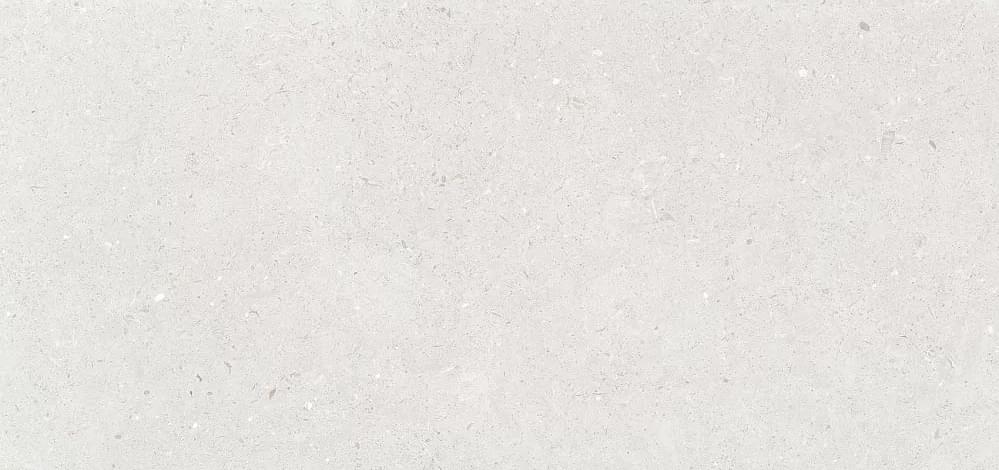 Плитка Simpolo Fossil Stx Silver 59.8x119.8 см, поверхность матовая