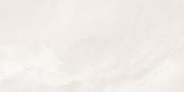 Плитка Staro Bogema Stellar Bloom Satin 60x120 см, поверхность полуматовая