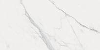 Плитка Staro Carving Appolo White 60x120 см, поверхность матовая