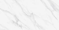Плитка Staro Luxor Swizer White Polished 60x120 см, поверхность полированная
