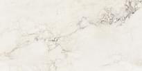 Плитка Staro Palacio Brecha Crema 60x120 см, поверхность полированная