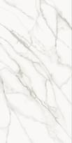 Плитка Staro Slab Calacatta Supreme Honed 160x320 см, поверхность полуматовая