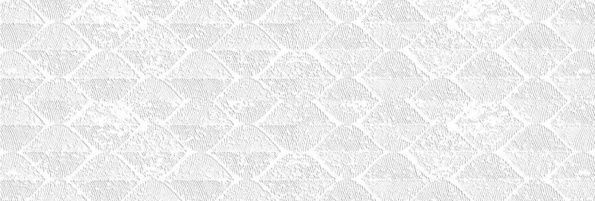 Staro Slab Leaf White Carving 80x240