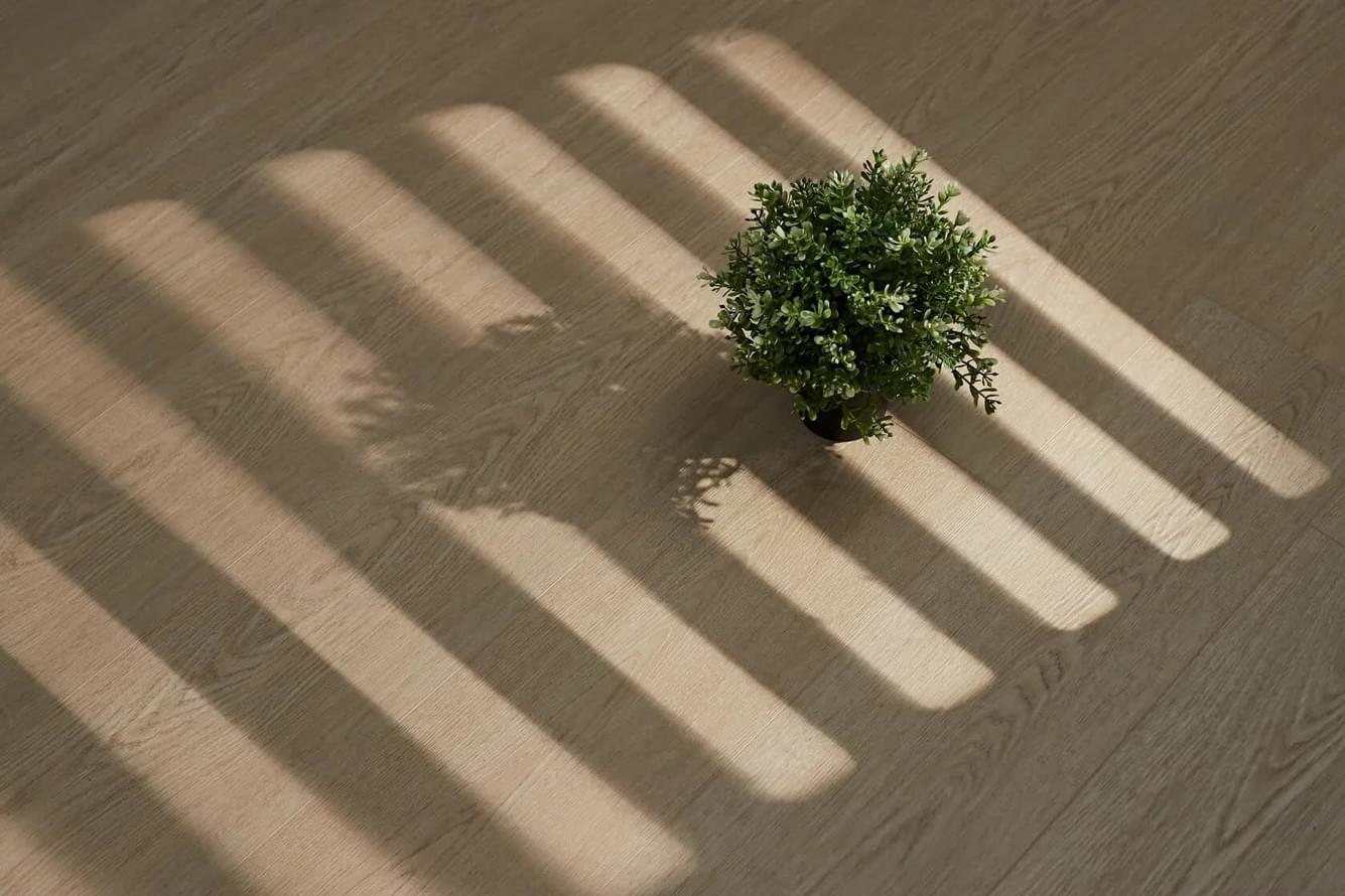 SPC фабрики Steinholz коллекция Element