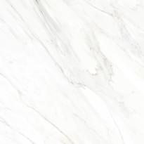 Плитка Super Ceramica Carrara Blanco 45x45 см, поверхность глянец