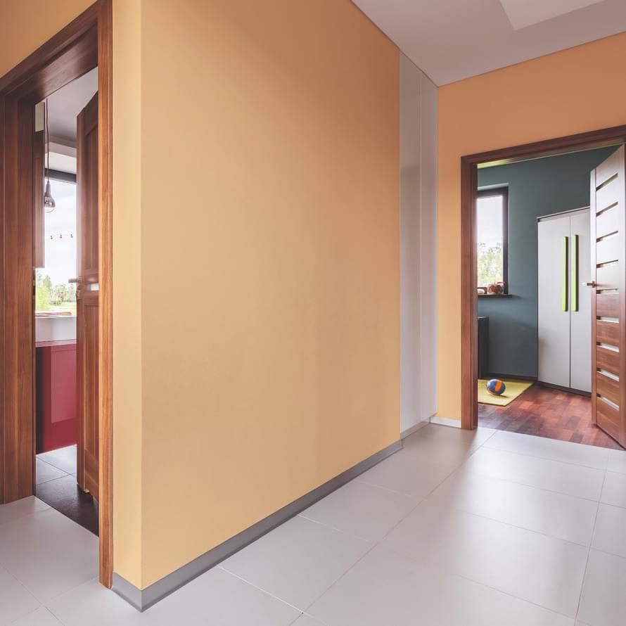 акриловая фабрики Swiss Lake коллекция Интерьерные Краски