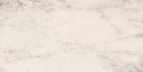 Плитка Tagina Patagonia Bianco 60x120 см, поверхность полированная