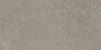 Плитка Tau Dorset Rlv Greige Rec 60x120 см, поверхность матовая