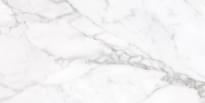 Плитка Terratinta Stonemarble White Polished Rectified 30x60 см, поверхность полированная