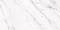 Плитка Terratinta Stonemarble White Satin Rectified 30x60 см, поверхность полуматовая