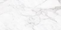 Плитка Terratinta Stonemarble White Silk Rectified 30x60 см, поверхность полуматовая