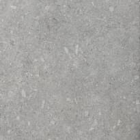 Плитка Terratinta Vicentina Cenere Matt Rectified 60x60 см, поверхность матовая