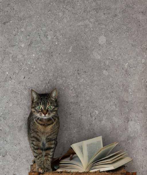 керамогранит фабрики Terratinta коллекция Vicentina