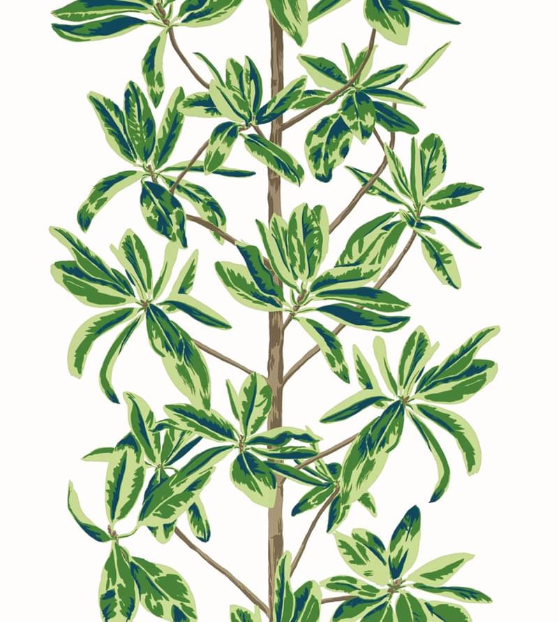 Thibaut Wanderlust T45035 Mangrove Tree 8.23м x 68.58см поверхность матовая