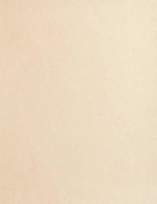 Tissage Mahieu Four Seasons Suede 552 FS 10x130 Tissage Mahieu Four Seasons Suede 552 FS 10x130