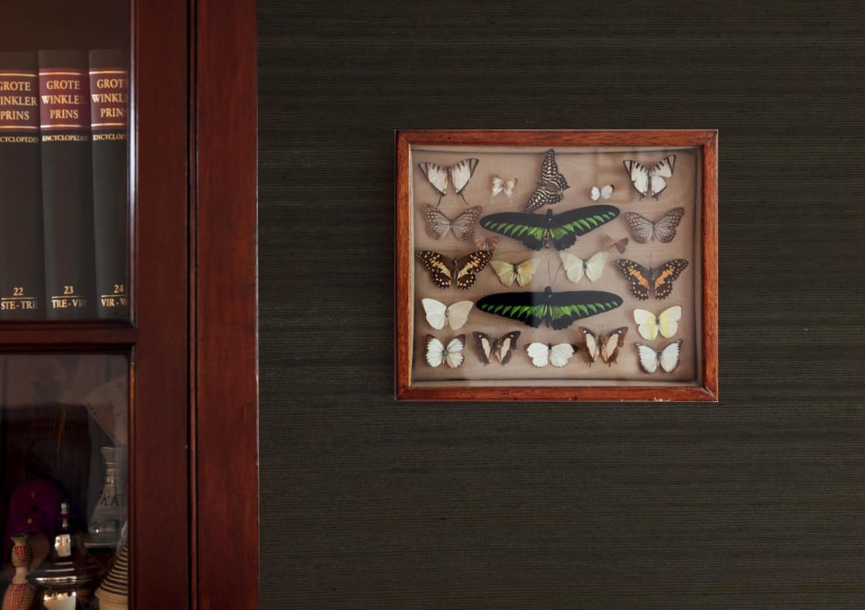 обои фабрики Tissage Mahieu коллекция Intrigue