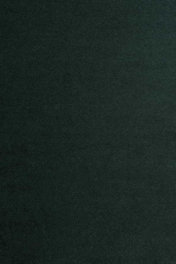 Tissage Mahieu Velveteen Pine 10x125 Tissage Mahieu Velveteen Pine 10x125