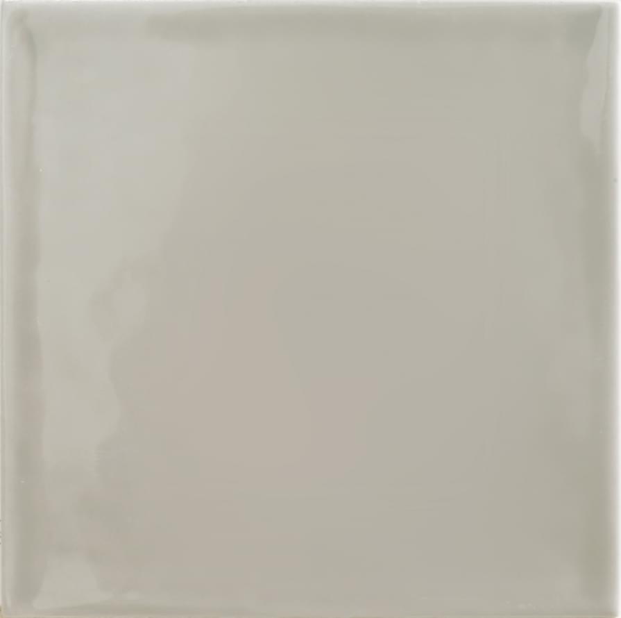 Tonalite Silk Polvere 15x15