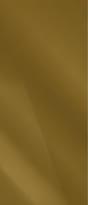 Tonino Lamborghini Galaxia Mirror Script Xl Gold Glossy 120x280 см поверхность полированная