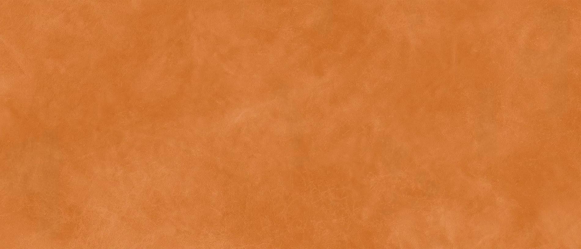 Tonino Lamborghini Korium Orange Logo 120x280 см поверхность матовая