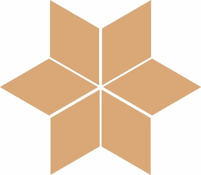 TopCer Hexagon Inserts Panjim 20.6x20.6