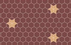 плитка фабрики TopCer коллекция Hexagon Inserts