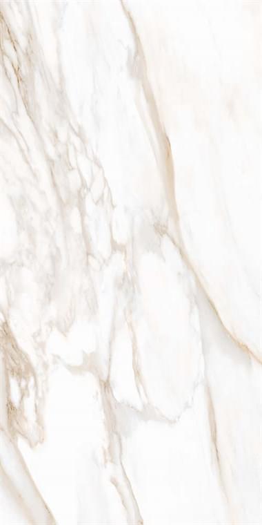 Tuscania Ceramiche White Marble Calacatta Oro Lapp Rett 61x122.2