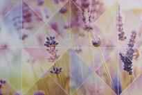 Плитка Unitile Романтика Лаванда Розовый Верх 01 20x30 см, поверхность глянец