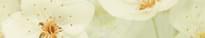 Плитка Unitile Сакура Зеленый Бордюр 01 7.5x40 см, поверхность глянец