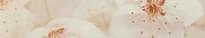 Плитка Unitile Сакура Коричневый Бордюр 01 7.5x40 см, поверхность глянец