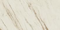 Плитка Versace Marble Bianco Calacatta Lap 58.5x117.5 см, поверхность полированная