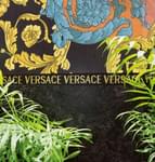плитка фабрики Versace коллекция Meteorite