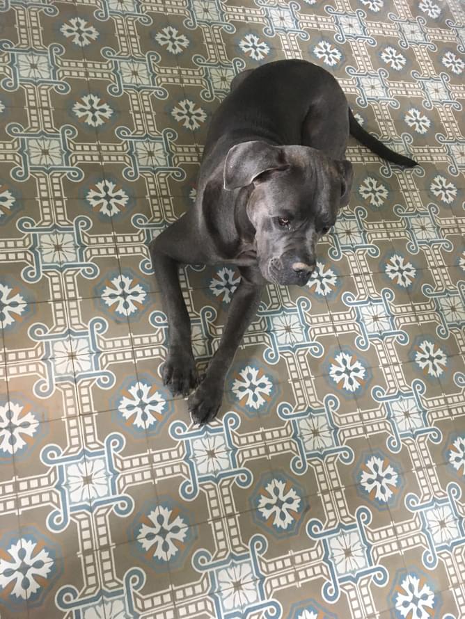 камень фабрики Via коллекция Special Issue Decor 10-17