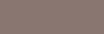 Плитка VitrA Color Ral 0505010 Mink Glossy 10x30 см, поверхность глянец