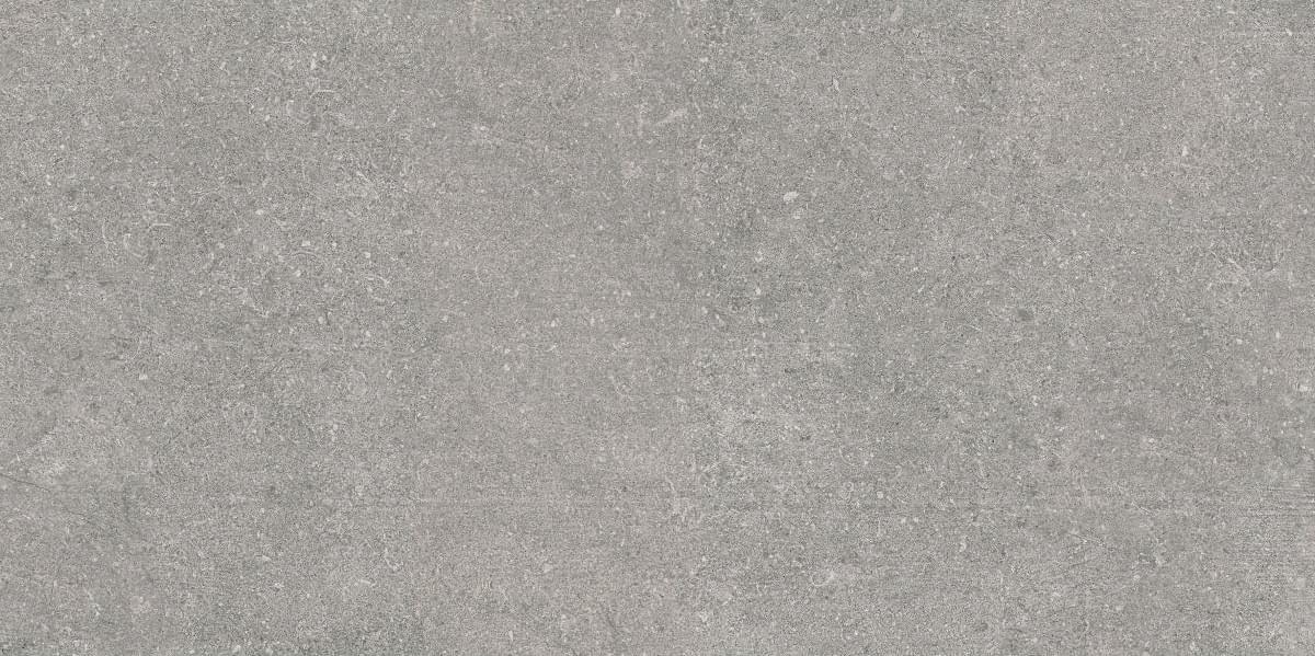 VitrA Newcon Silver Grey Lappato R9 60x120