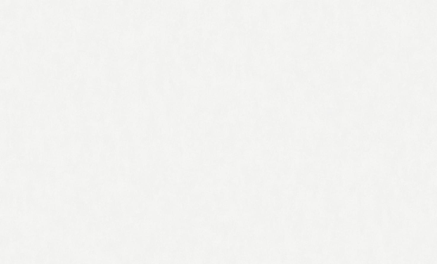 Wall Up Bright Whisper W190001 10.05м x 106см поверхность 