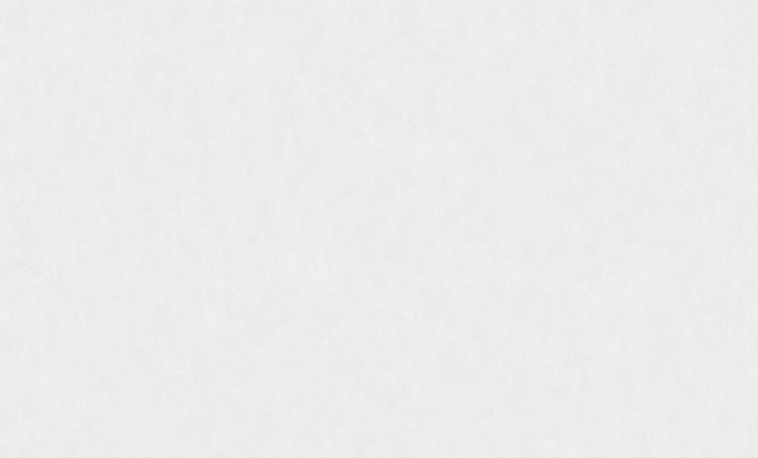 Wall Up Bright Whisper W190013 10.05м x 106см поверхность 
