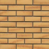 Плитка Westerwalder Klinker Klinker Brick Gelb-Bunt Df 5.2x24 см, поверхность матовая, рельефная