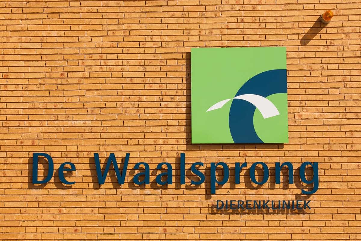 клинкер фабрики Westerwalder Klinker коллекция Wasserstrich