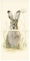 Плитка Winchester Classic Hare In Hiding Colour On Off White 25.4x12.7 см, поверхность глянец