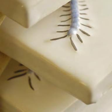 керамика фабрики Winchester коллекция Classic