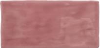 Плитка Winchester Cosmopolitan Tayberry Brick 10x20 см, поверхность глянец