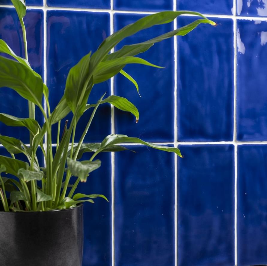 керамика фабрики Winchester коллекция Cosmopolitan