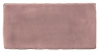 Плитка Winchester Residence Cosmopolitan Tayberry 6.3x13 см, поверхность глянец