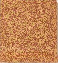 Плитка Winckelmans Porphyry Pag10 Rust 506 10x10 см, поверхность матовая