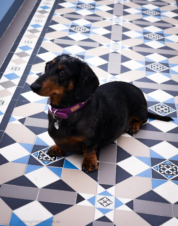 керамогранит фабрики Winckelmans коллекция Simple Colors Hexagon