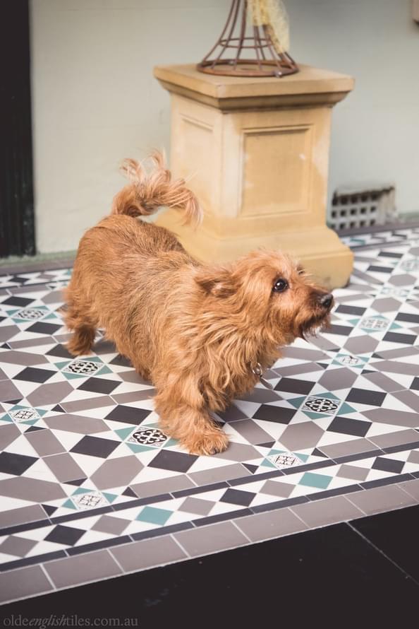 керамогранит фабрики Winckelmans коллекция Simple Colors Hexagon