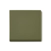 Плитка Winckelmans Simple Colors Skirting Br10 Green Australian Vea 10x10 см, поверхность матовая
